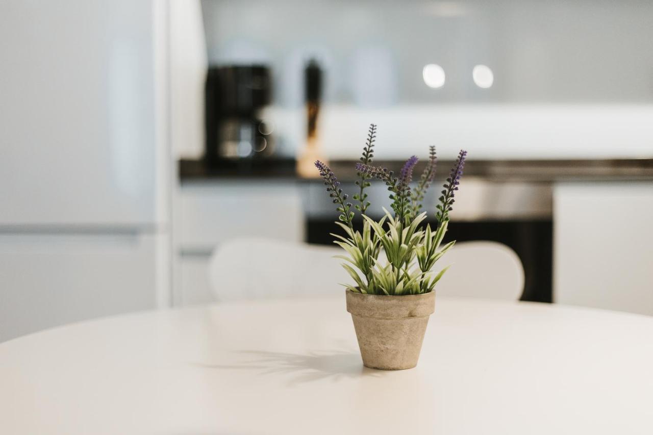 Apartamentos Mk77 Leon- Cantareros Zewnętrze zdjęcie